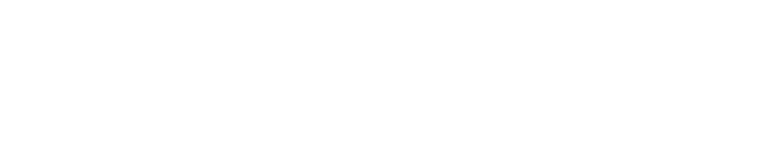 Sappagruppen_horisontal_neg